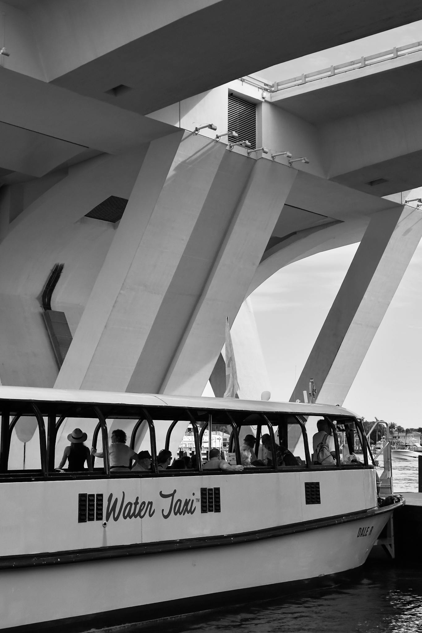 Passengers enjoying a scenic ride on the Charleston Water Taxi under the Ravenel Bridge
